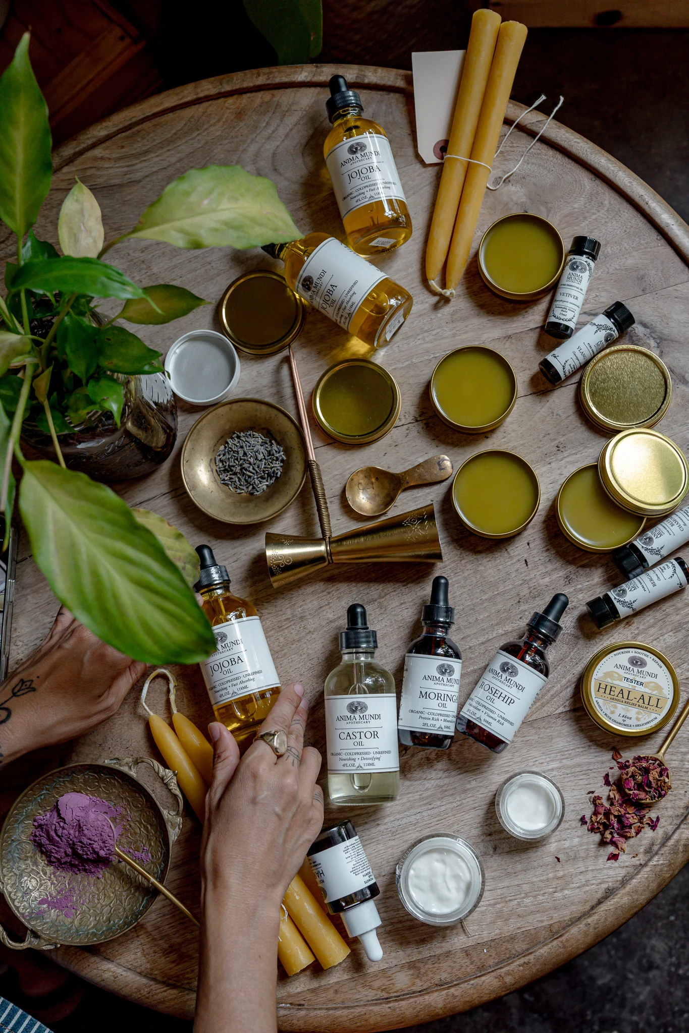 Thumbnail 5